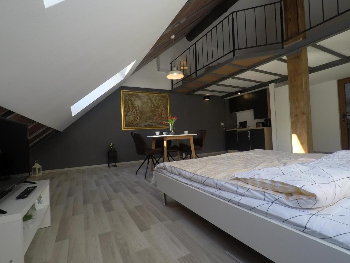 Savoya Nr2 Loft Studio Old City Center Self Check-In Workspace 티미쇼아라 외부 사진